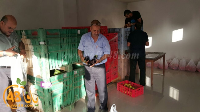 torod ramala (12).jpg